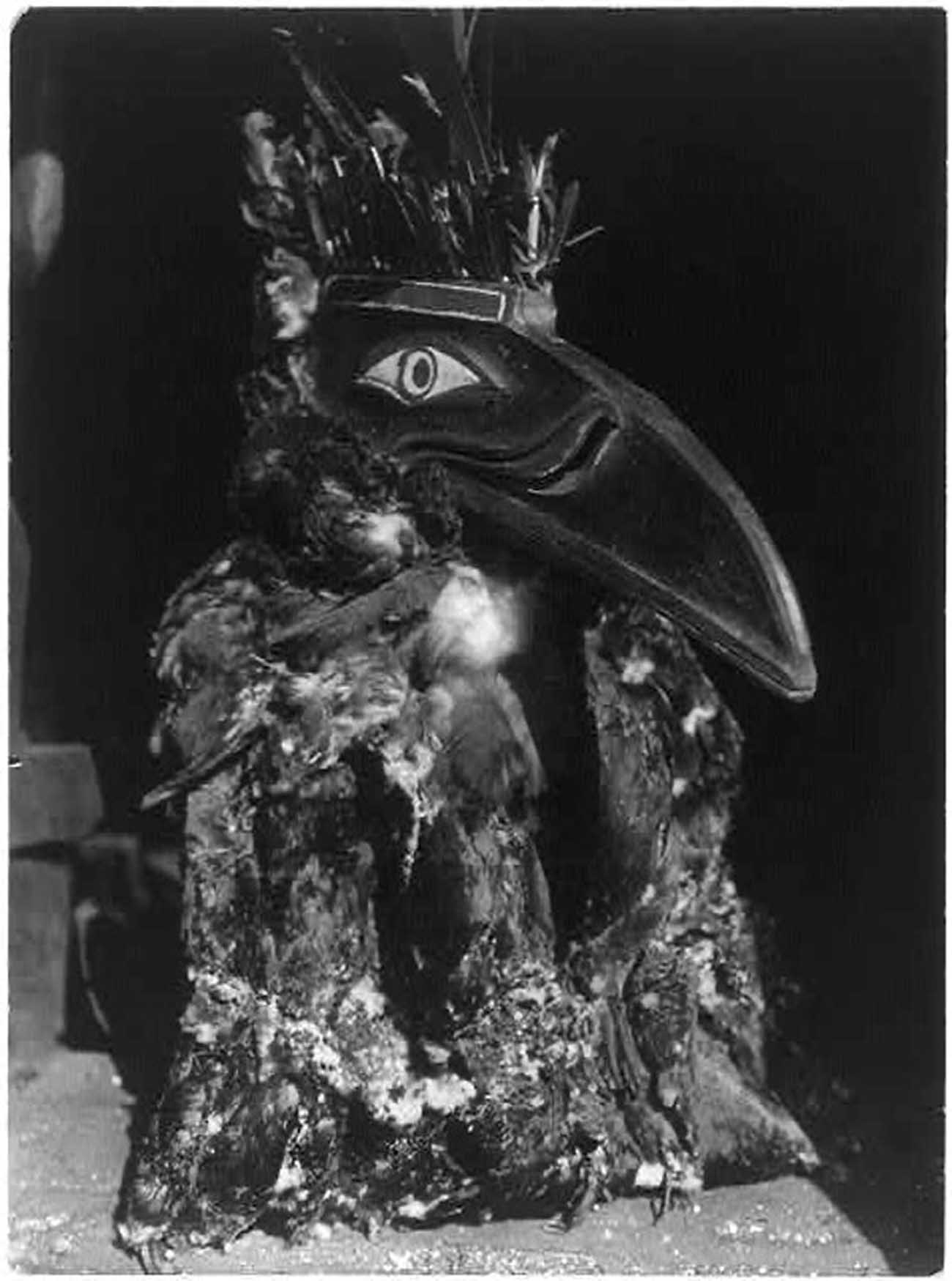 Dancer wearing raven mask with coat of cormorant skins during the numhlin ceremony.