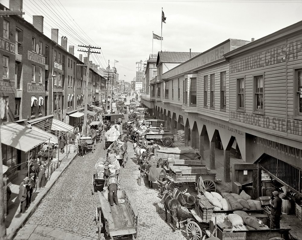 Light Street looking north, Baltimore, Maryland, circa 1906