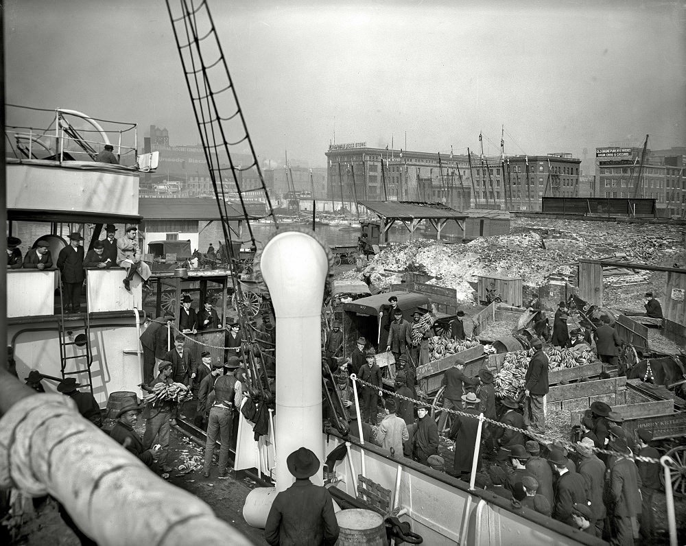 Men unloading banana steamer, Baltimore, Maryland, circa 1905