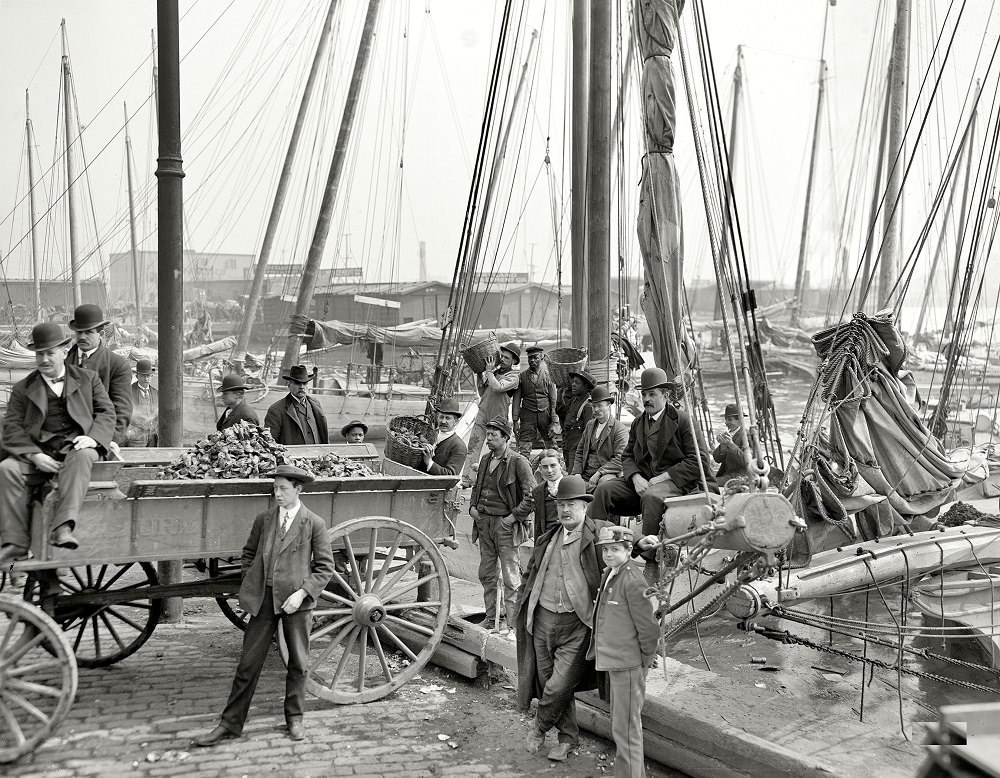 Unloading oyster luggers at Baltimore, 1905