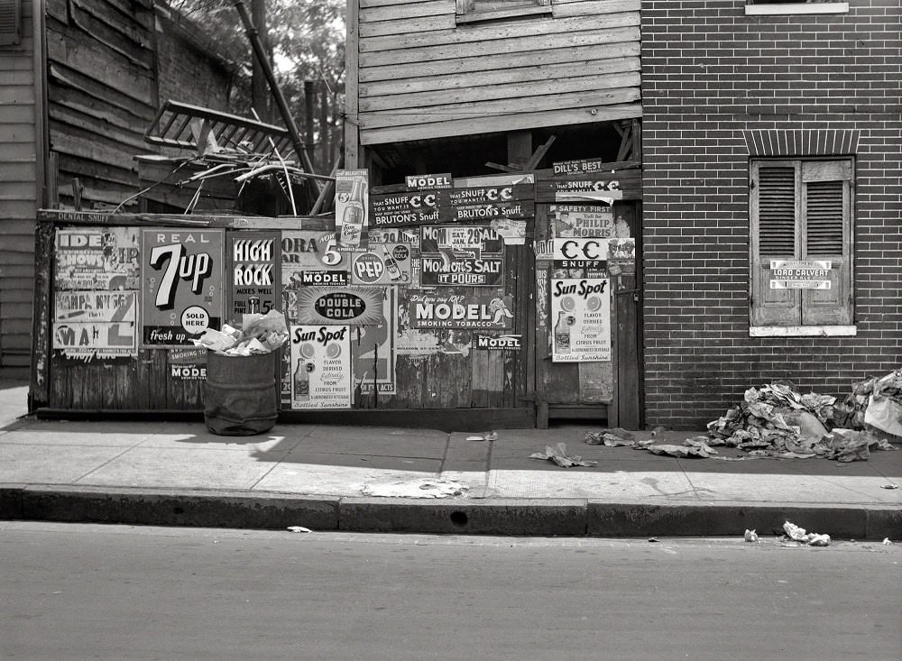 Rear of grocery store in Baltimore, July 1938