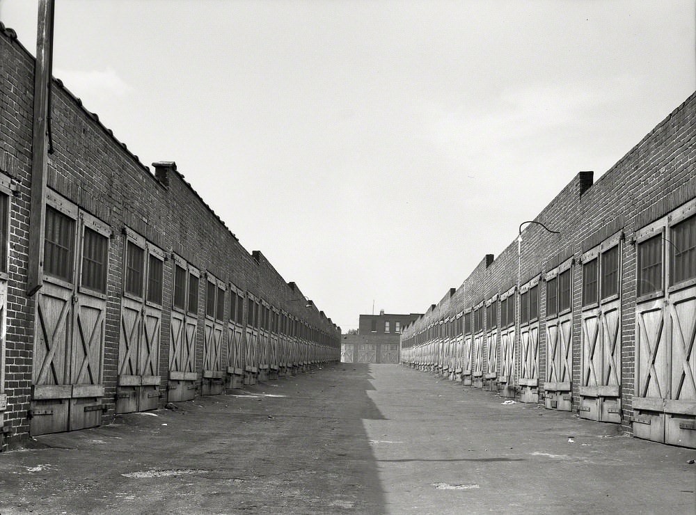 Garages in alley behind row houses, Baltimore, Maryland, July 1938