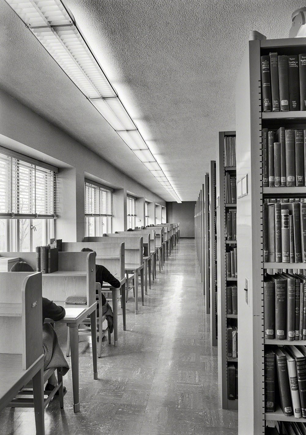 Library interior of Goucher College, Baltimore, April 24, 1953