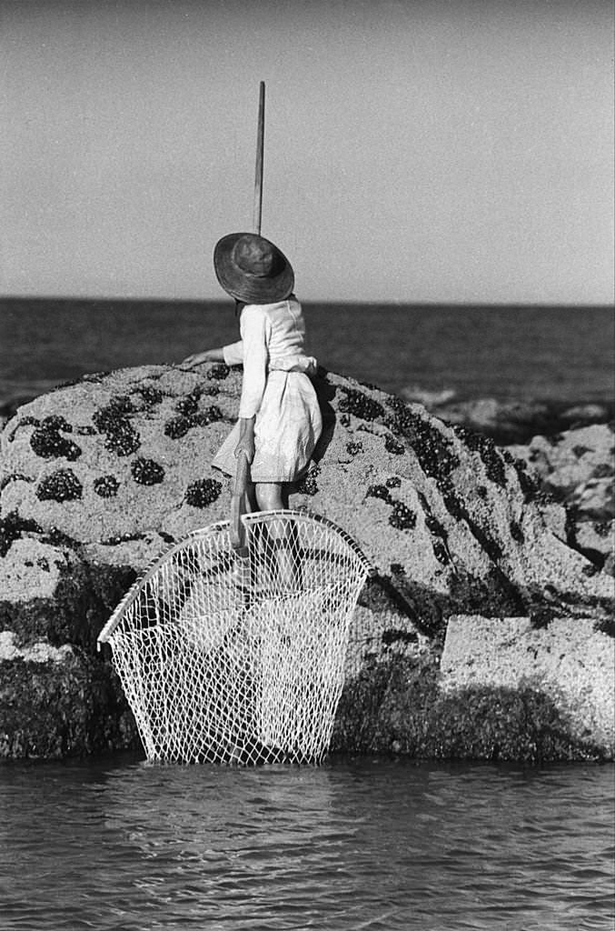 Netting Shrimp (Portugal), 1957