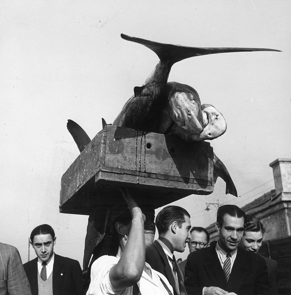 A fishmonger carries her wares, a crate of small sharks, on her head as she walks along the quays of the Tagus River in Lisbon, 1950