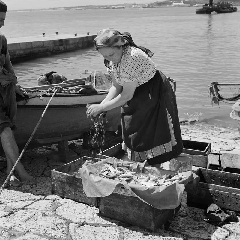 The Lost Fishing Culture of the 1950s Portugal Through Fascinating Historical Photos