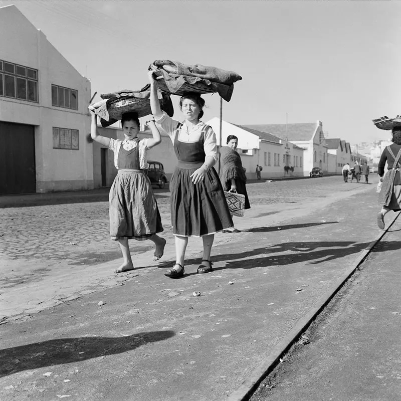 The Lost Fishing Culture of the 1950s Portugal Through Fascinating Historical Photos