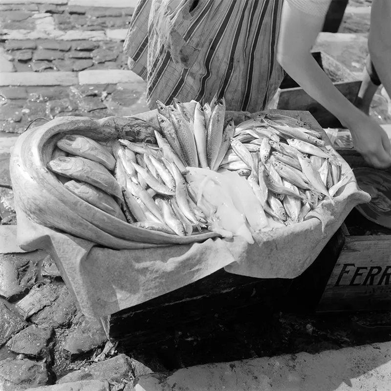 The Lost Fishing Culture of the 1950s Portugal Through Fascinating Historical Photos