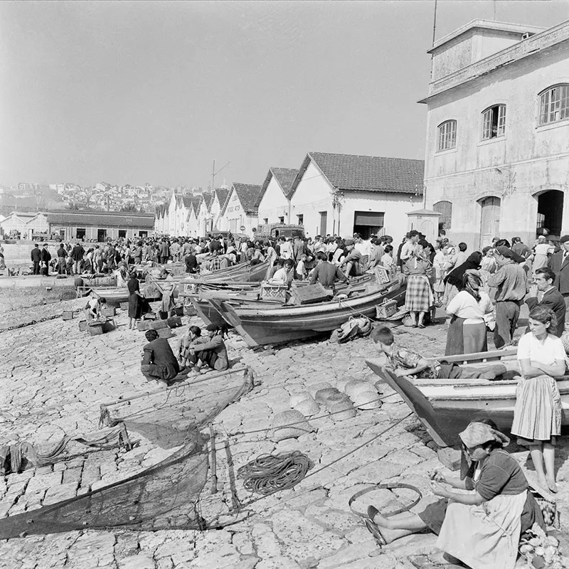 The Lost Fishing Culture of the 1950s Portugal Through Fascinating Historical Photos