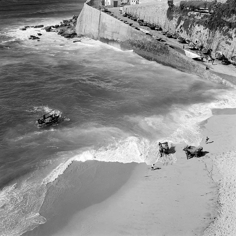 The Lost Fishing Culture of the 1950s Portugal Through Fascinating Historical Photos