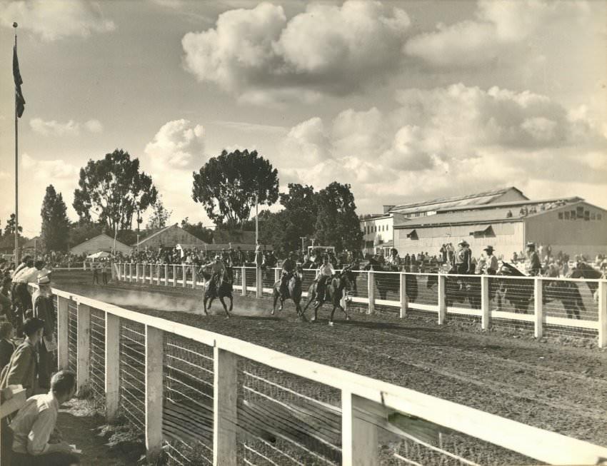 Horses coming around the last bend at Sheriff's Posse Grounds, 1947