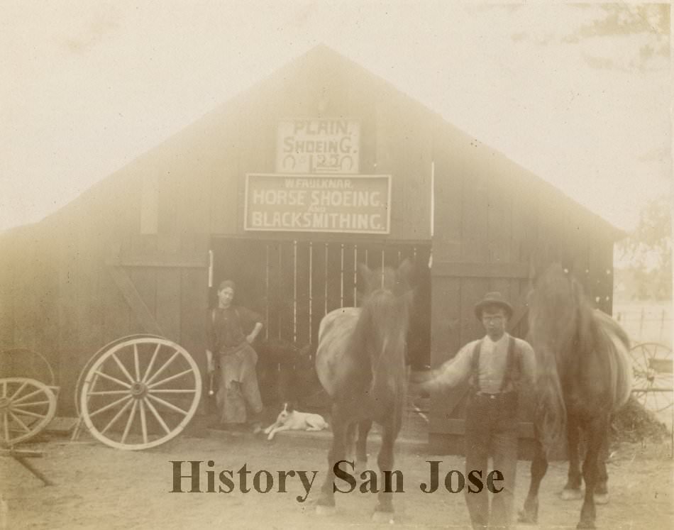 W. Faulknar Horse Showing & Blacksmithing, 1890s