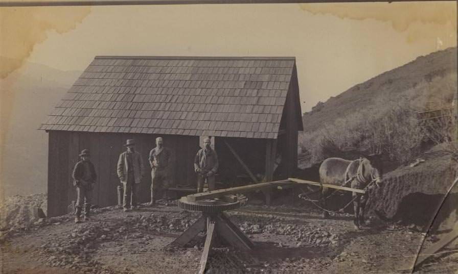 Mule at work, New Almaden, 1880s