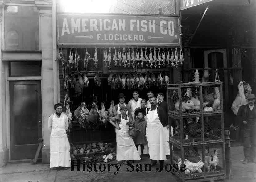 American Fish Co., F. Locicero; lots of fowl, 1890s