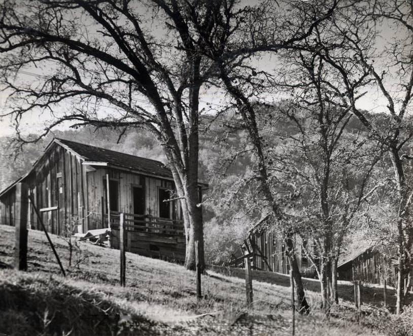 Guadalupe Mine, Miner's Cabin, 1940