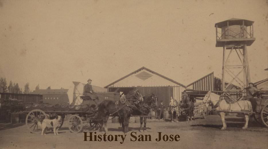 Brewery Wagon, 1892