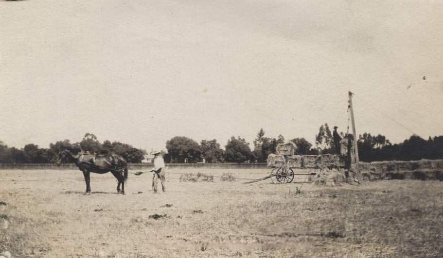 Farming on Hoover at Harding Street, 1912