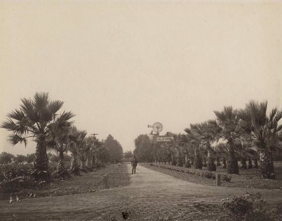 California Nursery at Niles, 1900