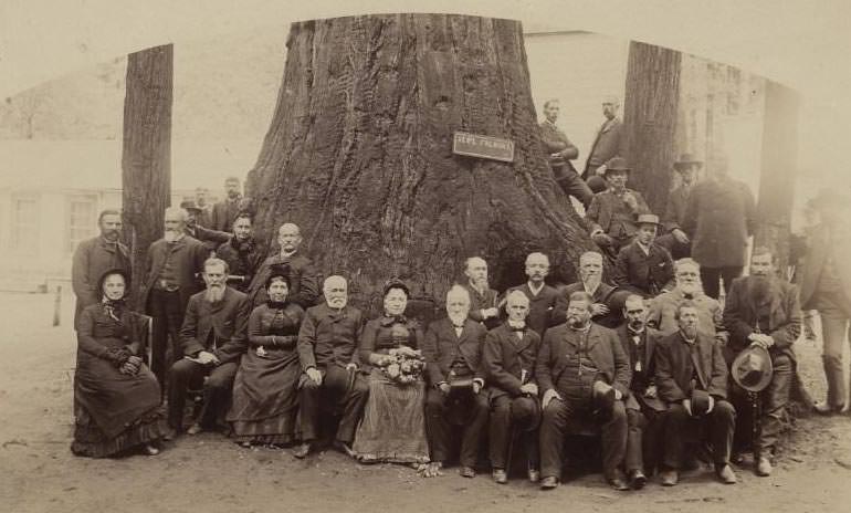 General Fremont Tree and group, 1883