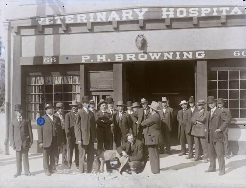 P. H. Browning Veterinary Hospital waddress, 1880s