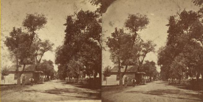San Jose to Santa Clara. The Alameda Road, 1865