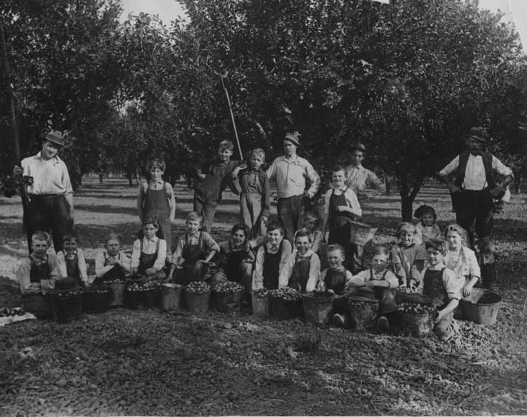 Children and adult prune pickers posing with full buckets, 1940
