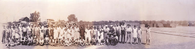 Field workers in fruit drying yard, 1935