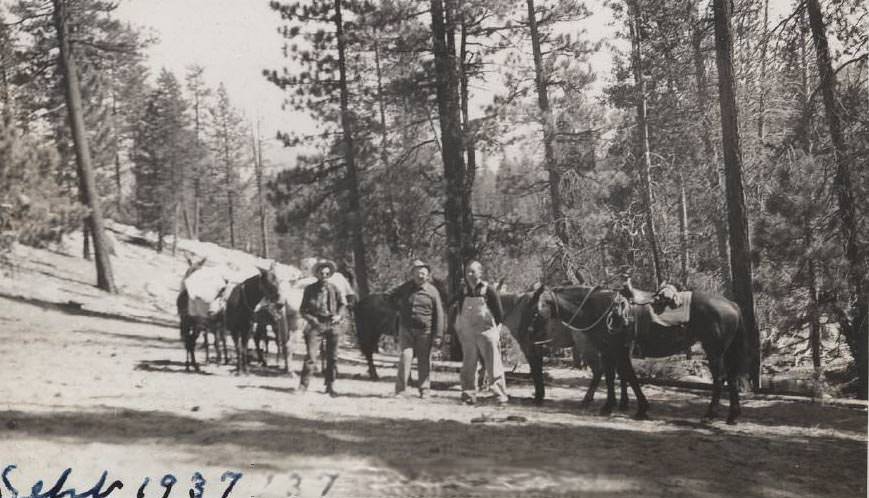 Three men with horses, in the woods, holding rifles, 1937