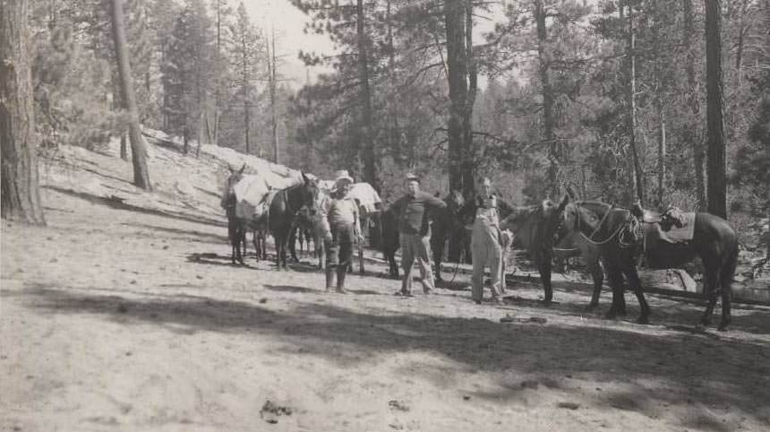 Three men with horses, in the woods, holding rifles, 1937