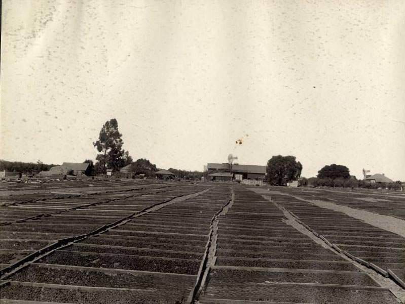 A drying ground west side district near line of S. J. &, 1903