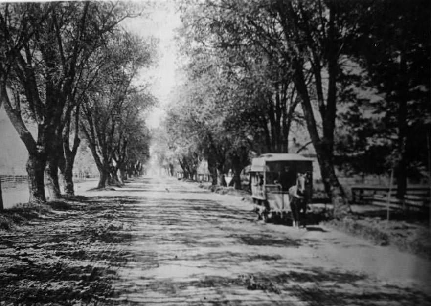 View looking straight down The Alameda which is lined with tall trees. A horse drawn trolley stands on the right, 1900