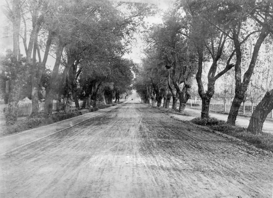 The Alameda, 1900