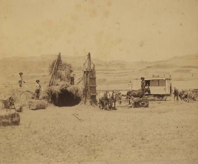 Hay Baling, 1891