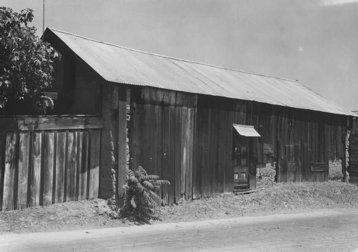 Peralta Adobe, 1947