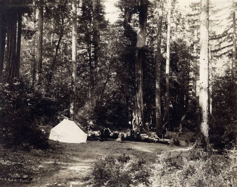 Sempervirens Camp, May 1900