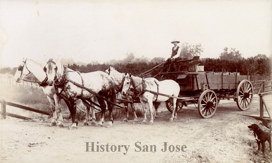 Orchard wagon, 1890