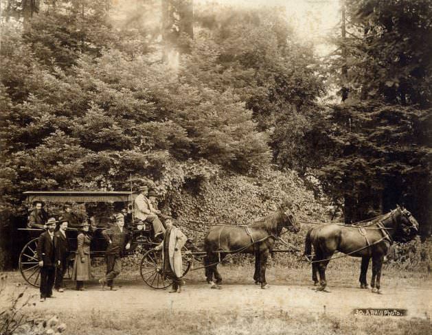 Driving Around the Big Basin: La Honda, near Pescadero, June 1900