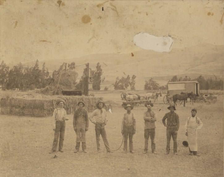 Hay Press Crew and Cook, 1892