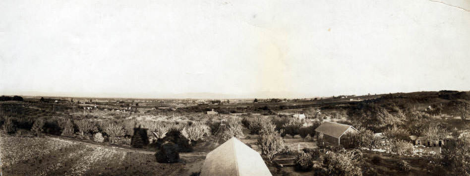 View from DiFiore Cannery, 1915