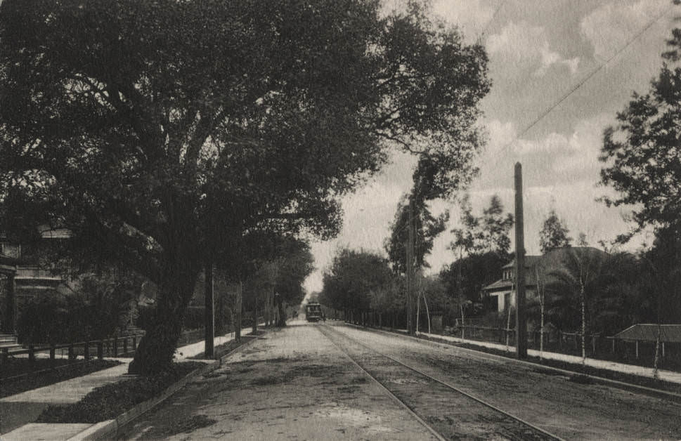 Waverly Street, 1912