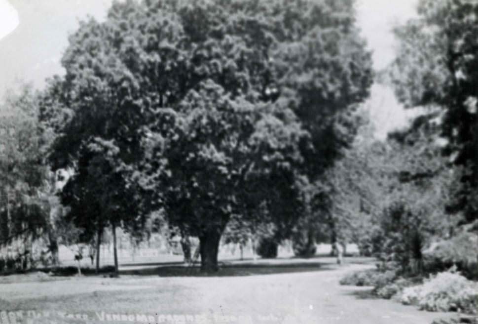 Hotel Vendome grounds, 1888