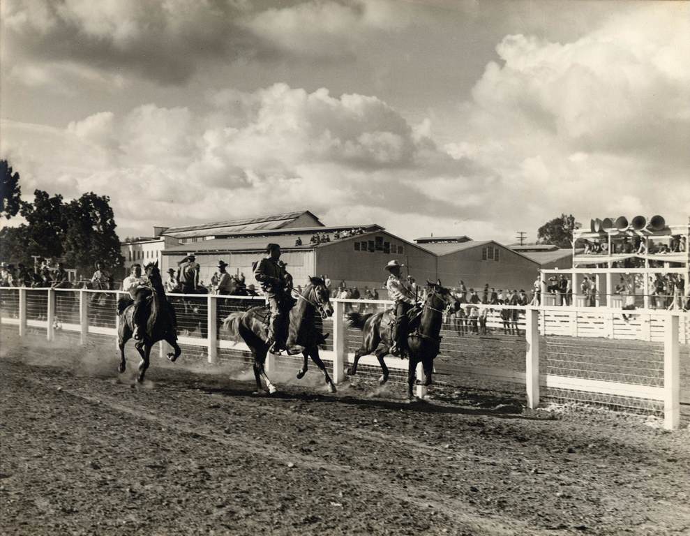 Horses at the Santa Clara County Sheriff's Posse Grounds, 1947
