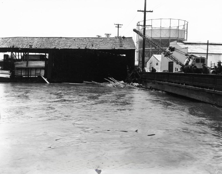 Chase Lumber Company, San Jose, 1955