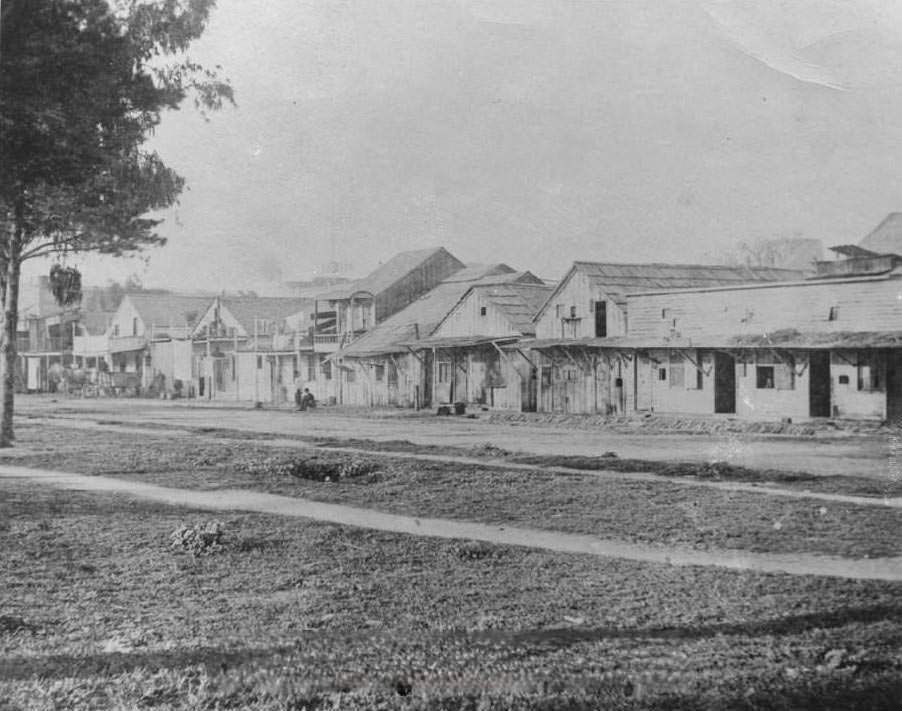 Market Street Chinatown, San Jose, 1872