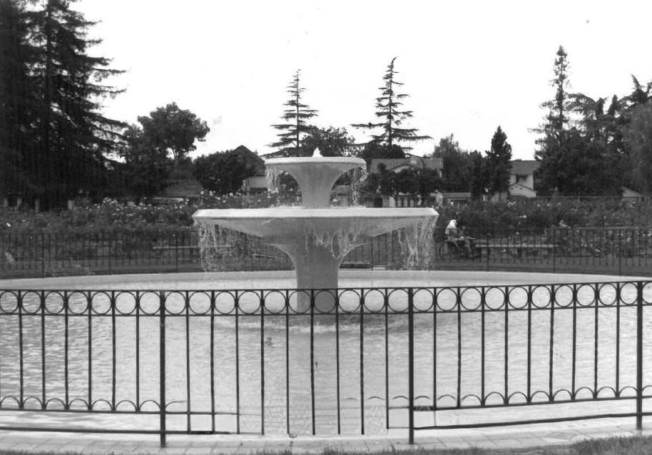 Rose Garden Fountain, San Jose Municipal Rose Garden, 1950s