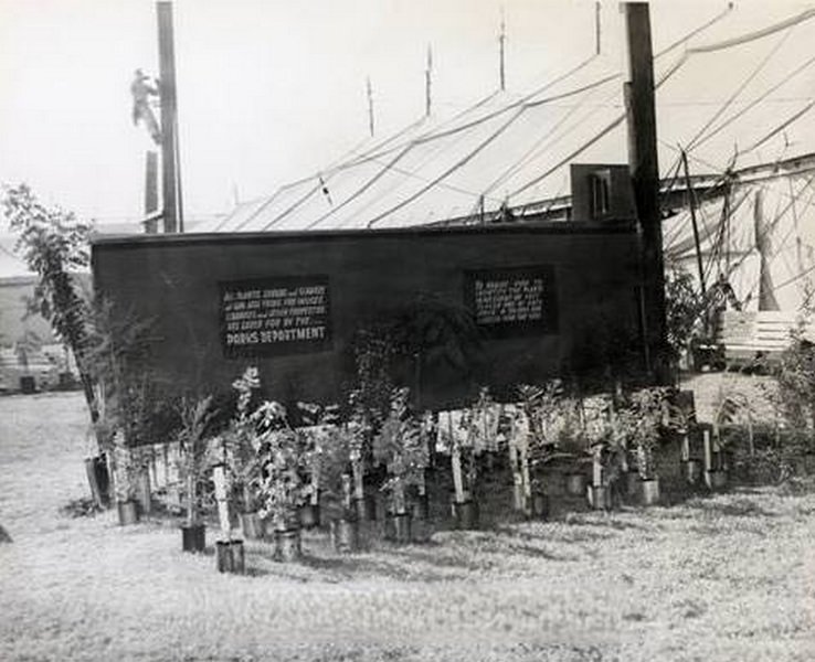 San Jose City Exhibit, 1952 Santa Clara County Fair, 1952