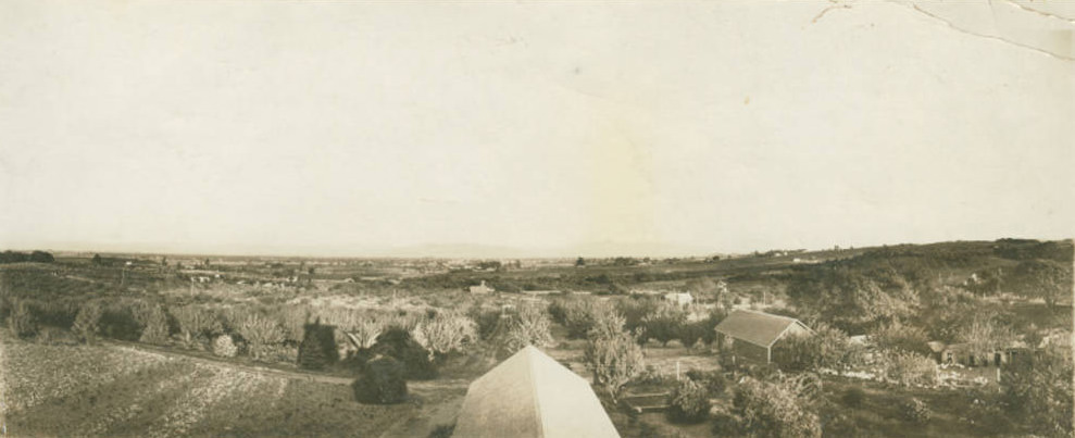View from DiFiore Canning Company, 1915