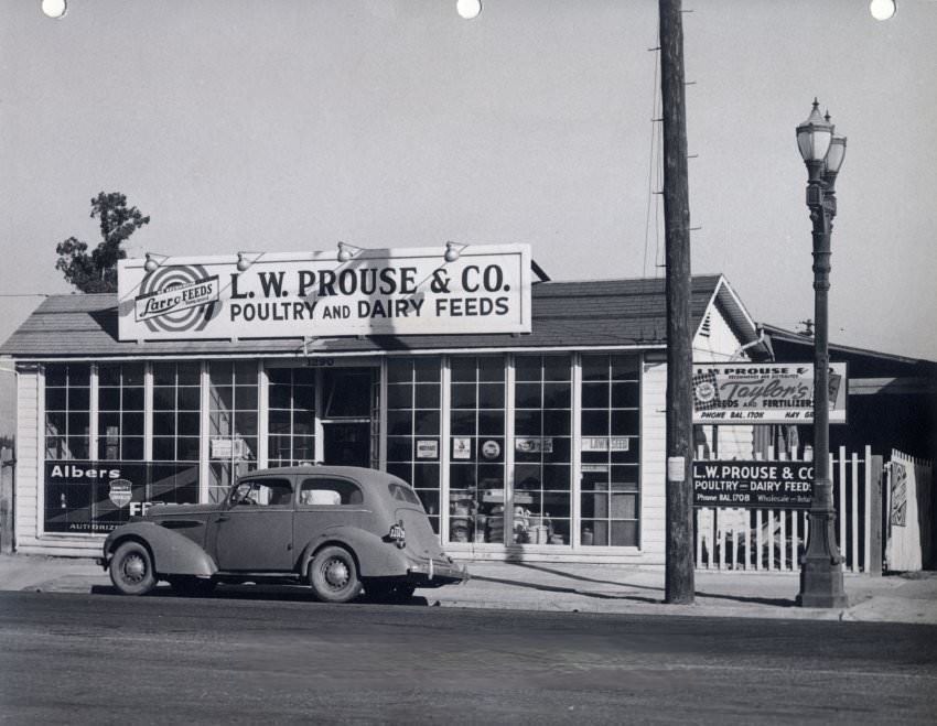 L. W. Prouse & Co. Poultry and Dairy Feeds building, car parked in front, at 1290 East Santa Clara Street, San Jose, May 18, 1947.