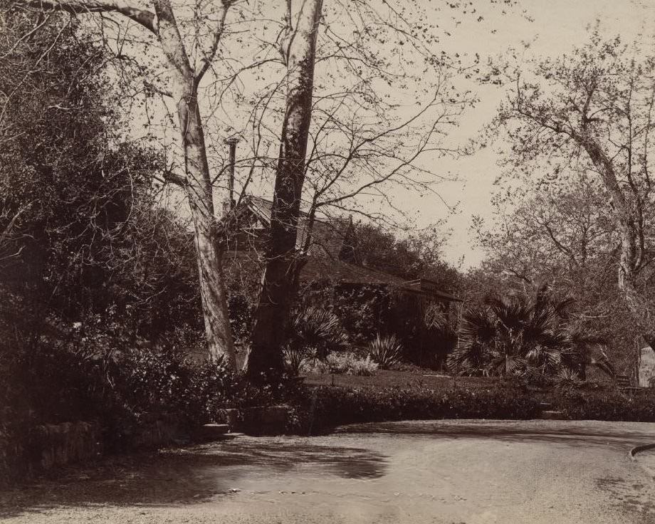 A glimpse of the Cafe, Alum Rock Park near San Jose, 1902