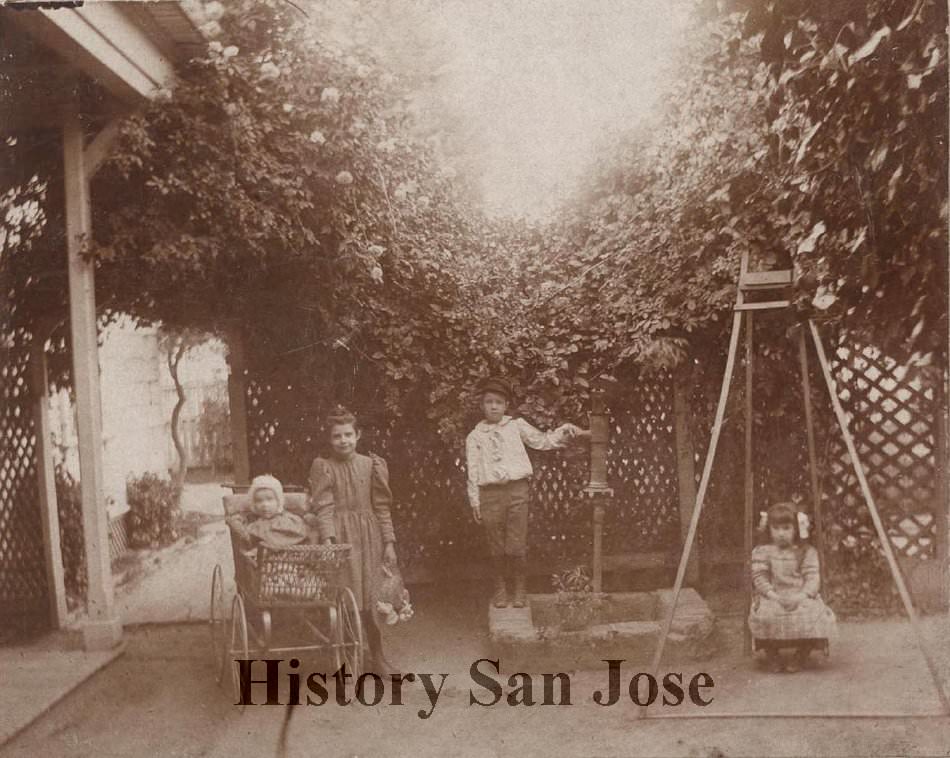 Welch Children, San Jose, 1896